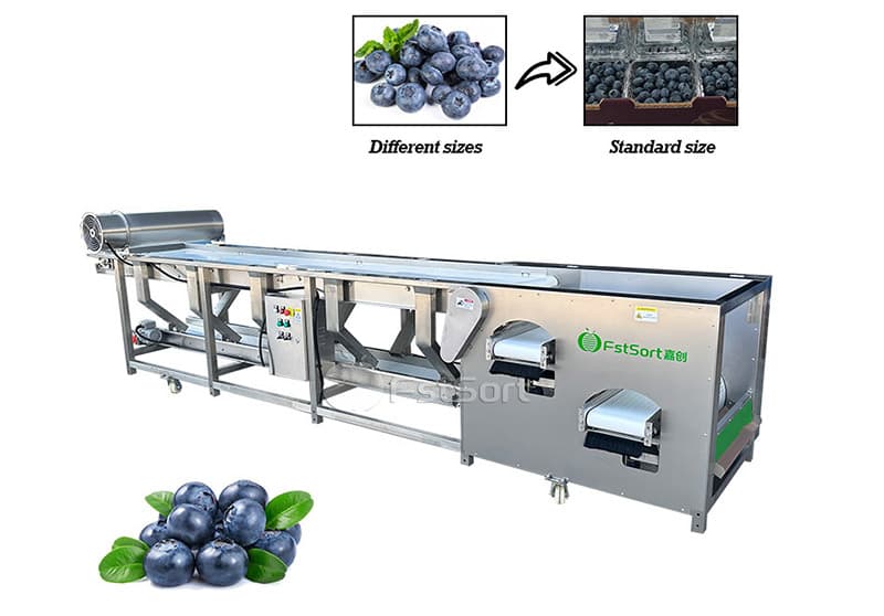 images/1729585994986blueberry  sorters.jpg